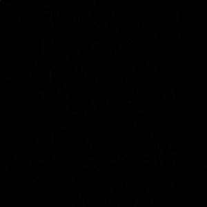 Meet your Posher, Britany